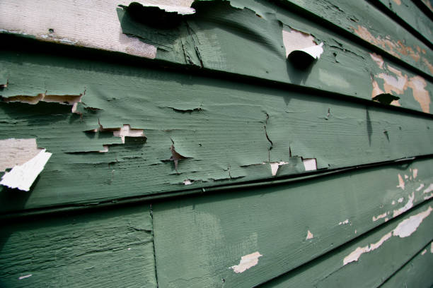 Best Steel Siding Installation  in Kennesaw State University, GA